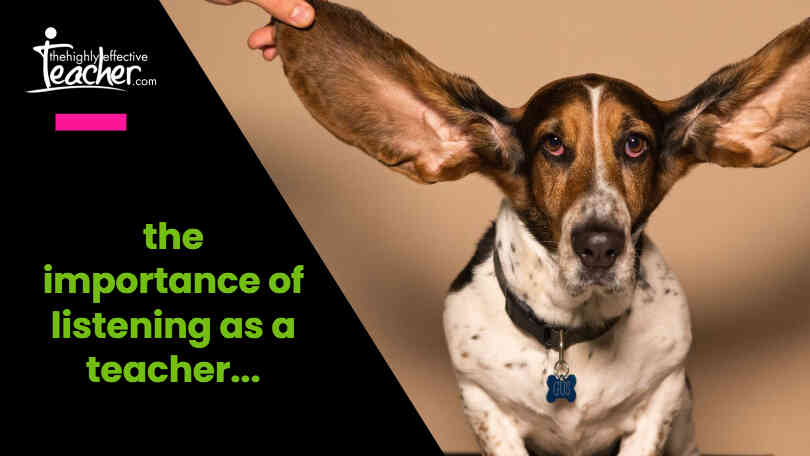 listening dog